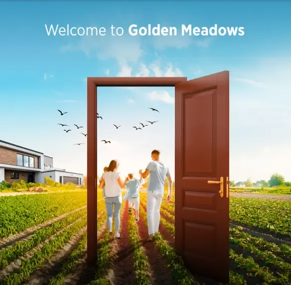 Golden Meadows