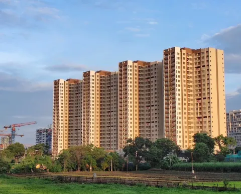 EDEN GARDEN
