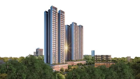 SKY LUXE