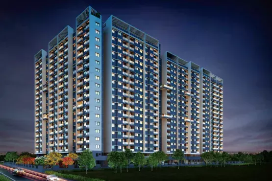 PLATINUM CITY LIGHT